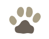 Lynx Self Service icon